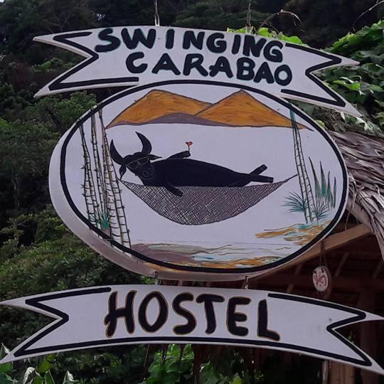 Swinging Carabao Hostel 爱妮岛 外观 照片